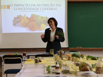 Importancia dos alimentos